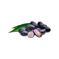 Black Berrie (Jamun) - 250 gm