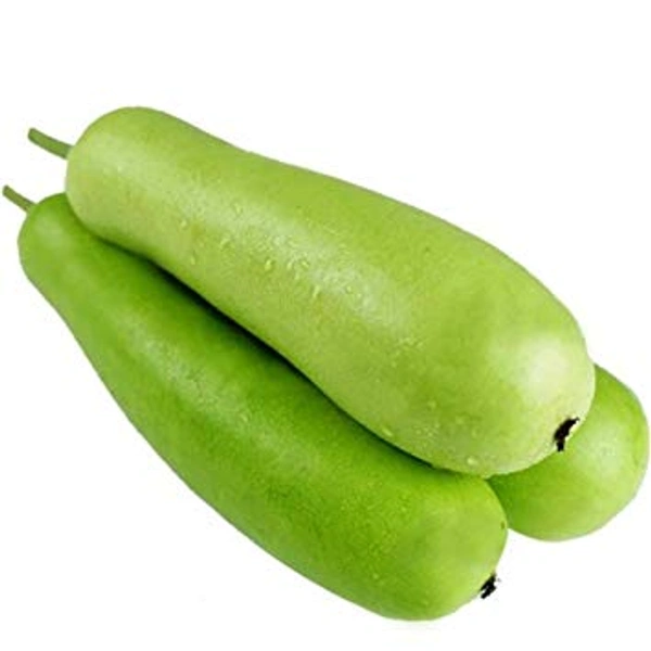 Bottle Gourd Medium (Lauki) - 500 - 600 gm