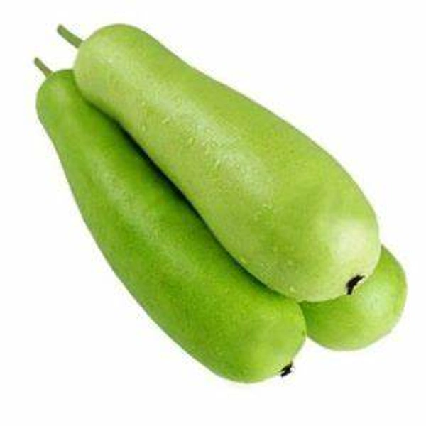 Bottle Gourd Small (Lauki) - 250 - 300 gm
