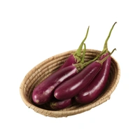 Brinjal Long (Baingan Long) - 1 kg
