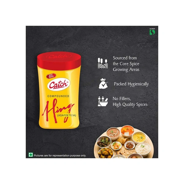 Catch Compounded Hing Powder - 25 gm - 25 gm
