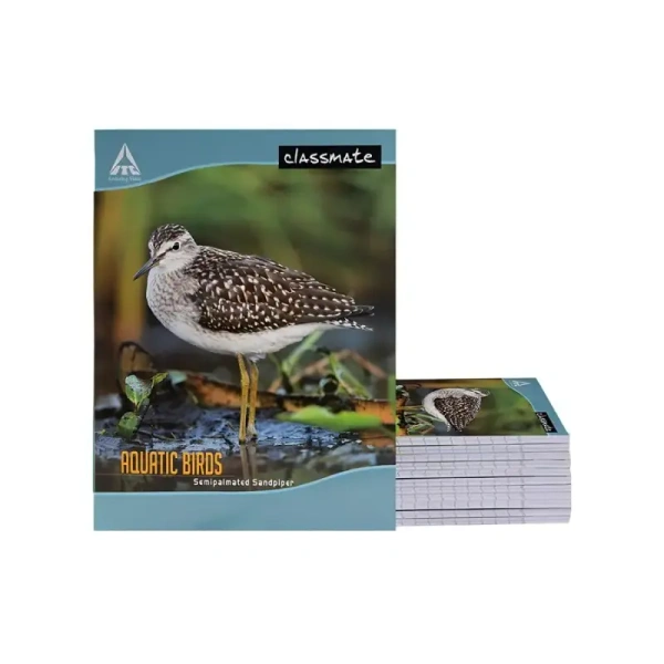 Classmate Four Line Notebook (172 Pages, Multicolor) - 1 unit