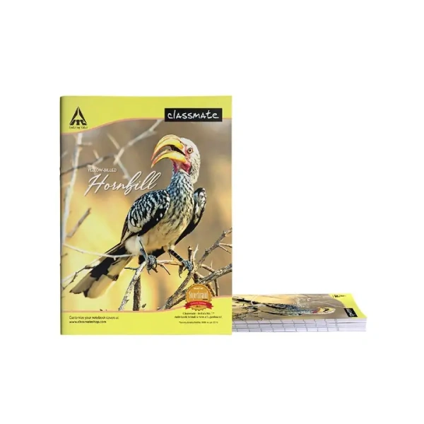 Classmate Single Line Notebook - 24 x 18 cm (172 Pages, Assorted) - 1 Unit