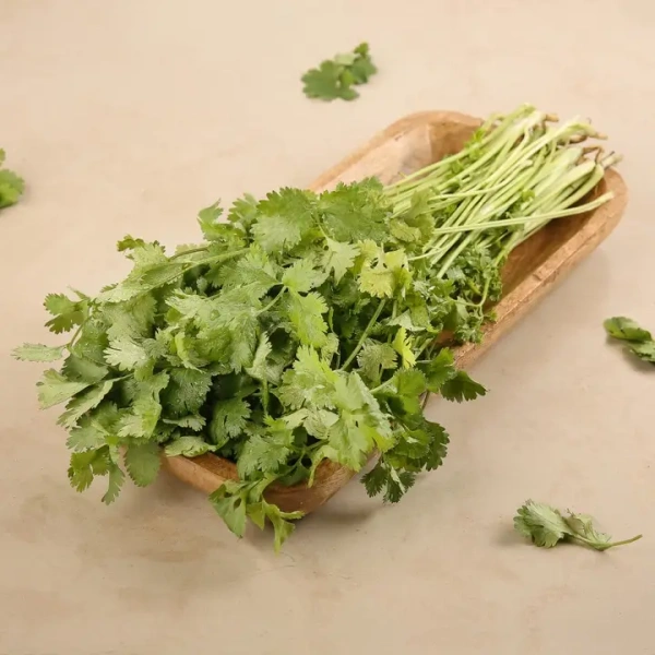 Coriander Leaves (Dhaniya Patta) - 100 gm