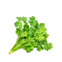 Coriander Leaves (Dhaniya Patta) - 100 gm