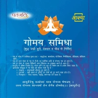 Cow Dung by Patanjali - 12 Piece (1 Pack)