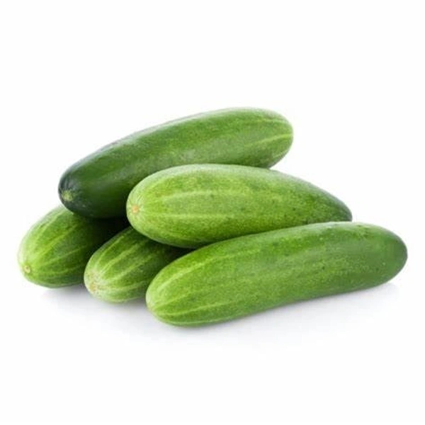 Cucumber Hybrid (Kheera) - 250 - 300 gm