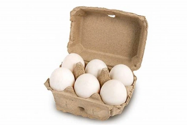 Daily Bite Normal Eggs - 6 Pieces