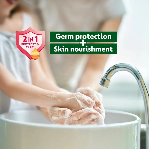 DETTOL SKINCARE LIQUID HANDWASH (BUY 1 GET 1 FREE) - 2X675 ML