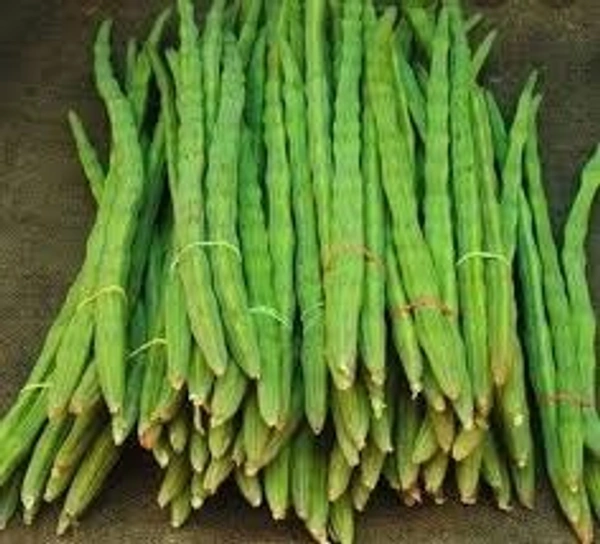 Drumstick (Sahjan) - 100 - 150 gm