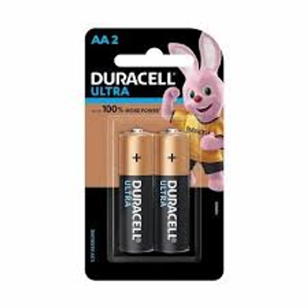 Duracell AA Alkaline Battery - 1 pack (2 pieces)