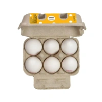 Eggoz Nutrition Protein Rich White Eggs (6 pieces) - 6 Pieces