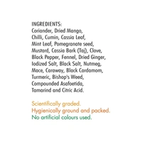 Everest Chole Masala - 100 gm - 100 gm