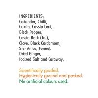 Everest Garam Masala - 100 gm - 100 gm