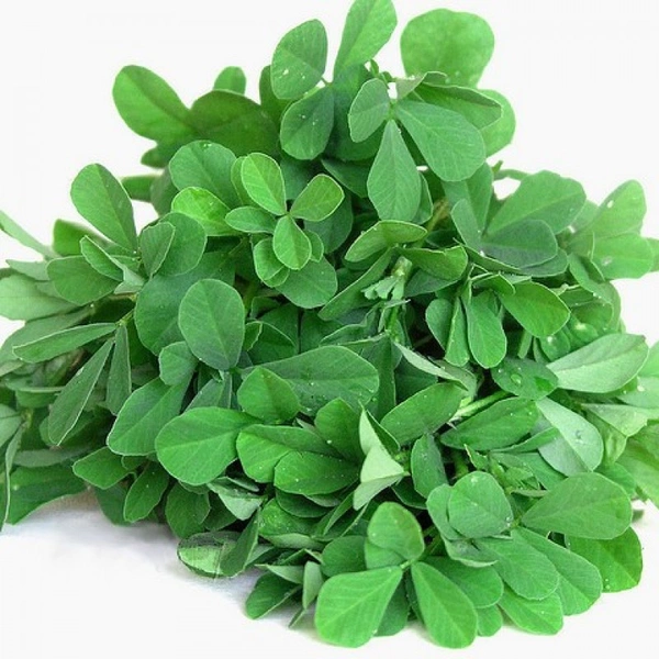 Fenugreek (Maithi) - 500 gm