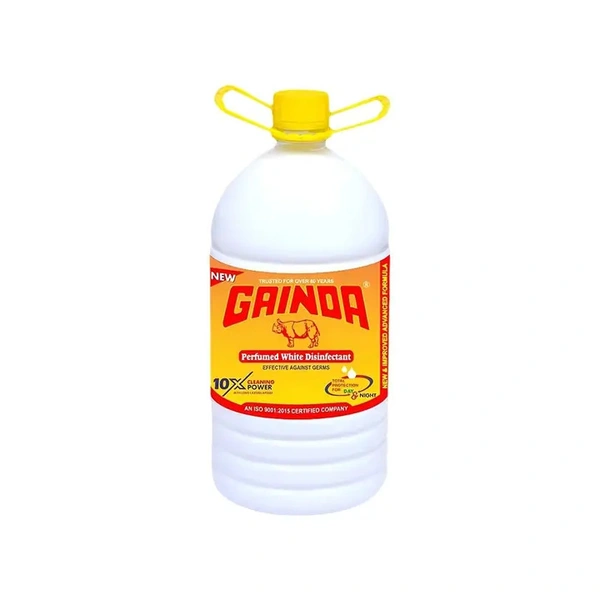 Gainda Phenyl (White) - 5 ltr - 5 ltr
