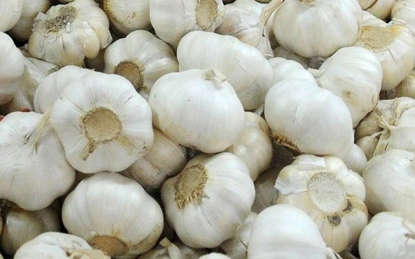 Garlic China (Leshun Mota) - 100 - 130 gm
