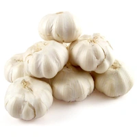 Garlic China (Leshun Mota) - 100 - 130 gm