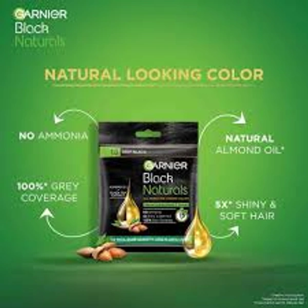 Garnier Black Naturals 1.0 Deep Black - 1 Pack