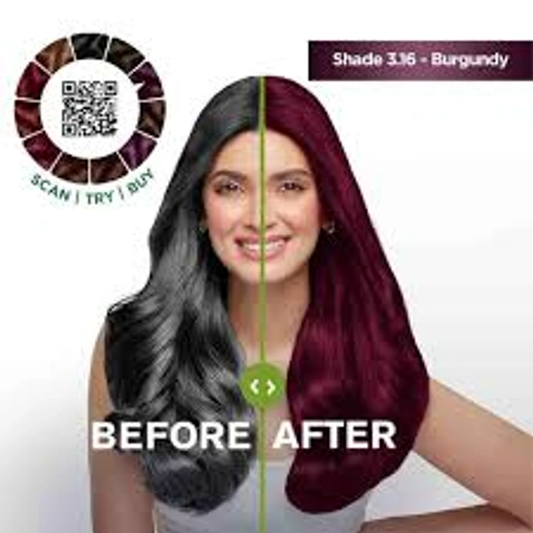 Garnier Black Naturals 3.16 Burgundy - 1 Pack - 1 Pack