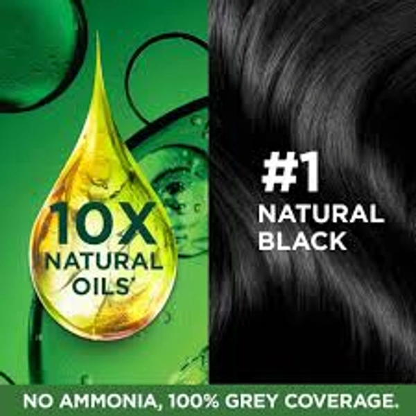 Garnier Color Naturals Creme Riche 1 natural Black - 1 Pack