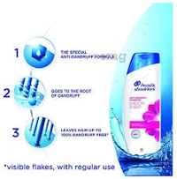 Head & Shoulders Anti Dandruff Shampoo-340 ml Free 2 in 1 70 ml Shampoo - 170 ml