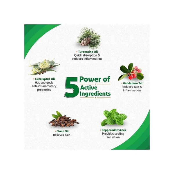 Iodex Rapid Action Pain Relief Spray - 60 gm - 60 gm