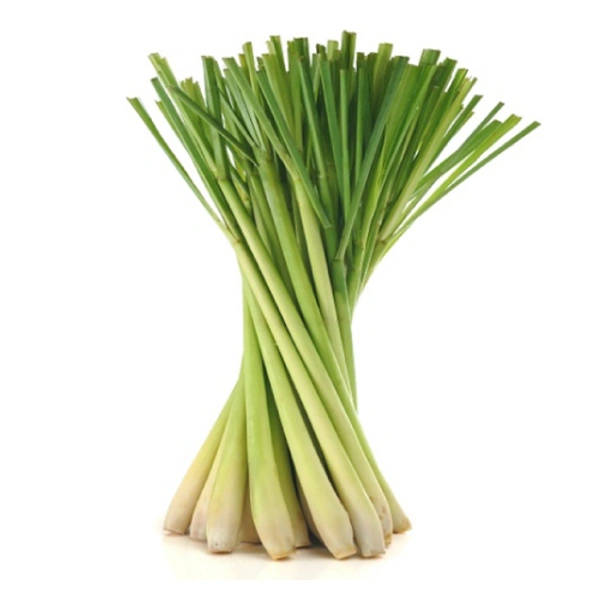 Lemon Grass - 100 gm