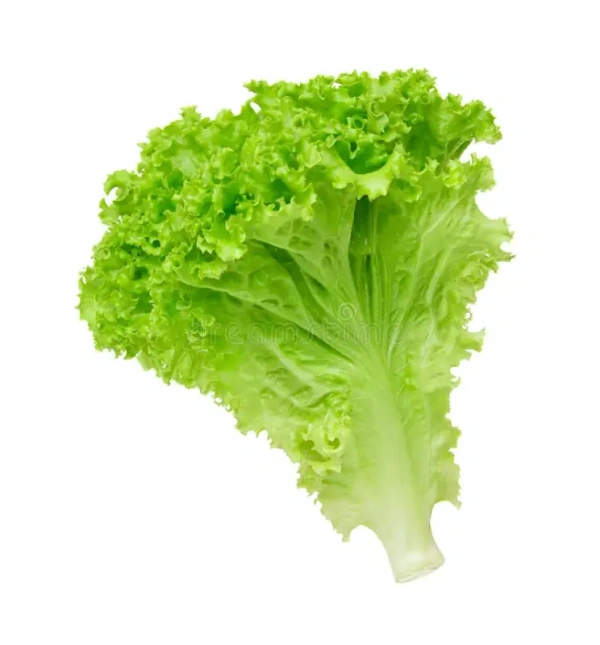 Lettuce Green - 200 gm