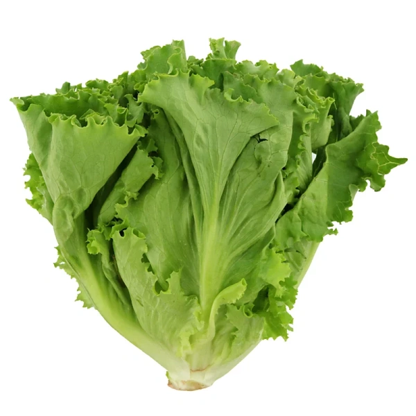 Lettuce Green Leaves - 200 - 250 gm