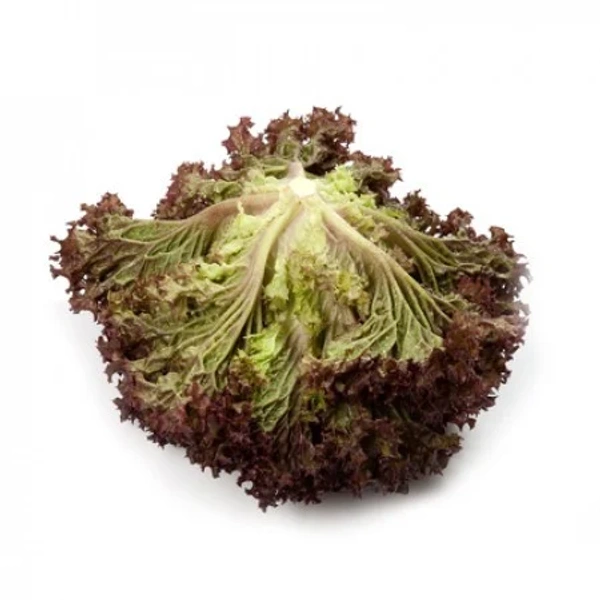 Lettuce Red - 250 - 300 gm