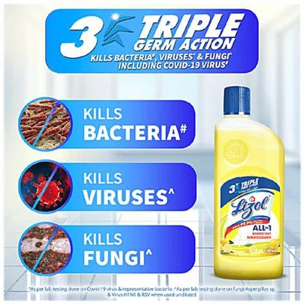 Lizol Disinfectant Surface & Floor Cleaner (Citrus) - 500 ml - 500 ml