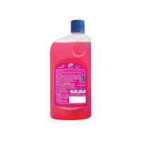 Lizol Disinfectant Surface & Floor Cleaner (Floral) - 1 ltr - 1 ltr