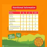 Maggi Nutrilicious Chatpata Besan Noodles - 298 gm - 298 gm