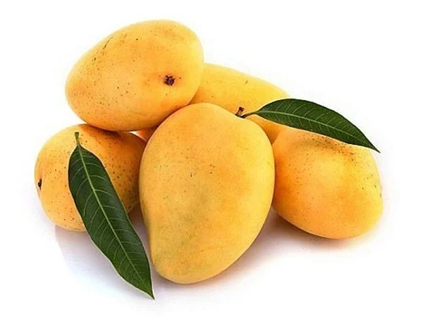 Mango Dinda (Aam) - 1 - 1.05 kg