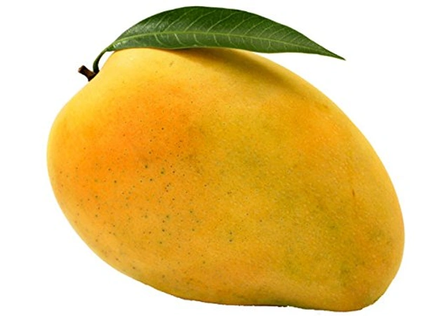 Mango Safeda (Aam) - 1 - 1.05 kg