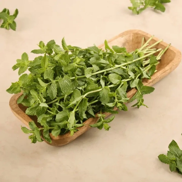 Mint (Pudina) - 100 gm