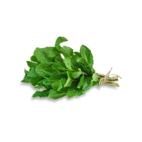 Mint (Pudina) - 100 gm