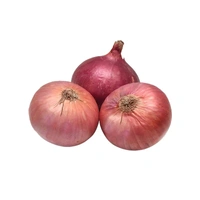 Onion Local (Pyaaj) - 5 kg
