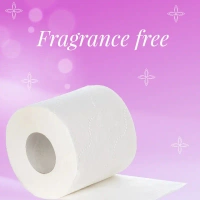 Origami 12-in-1 Toilet Roll (3 Ply) - 1 pack (12 rolls x 140 pulls)