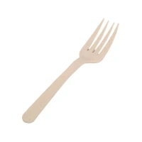 Pack N Wrap Disposable Fork 1 pack (25 pieces) - 1 pack (25 pieces)