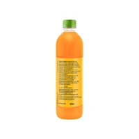 Paper Boat Swing Slurpy Mango Drink - 600 ml - 600 ml