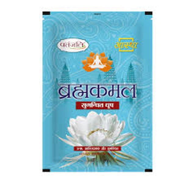 Patanjali Aastha Brahmkamal Sugandhit Dhoop - 1 Pack