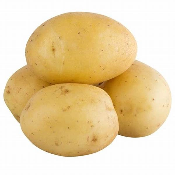 Potato Pahari (Aalu) - 1 - 1.05 gm