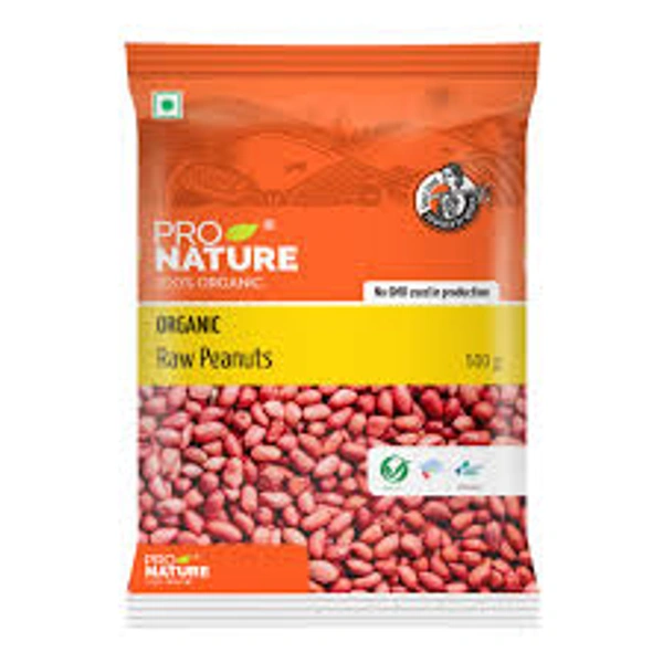Pro Nature 100% Organic Organic Raw Peanuts - 500 gm - 500 gm