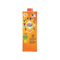 Real Fruit Power Masala Mixed Fruit Juice - 1 ltr - 1 ltr
