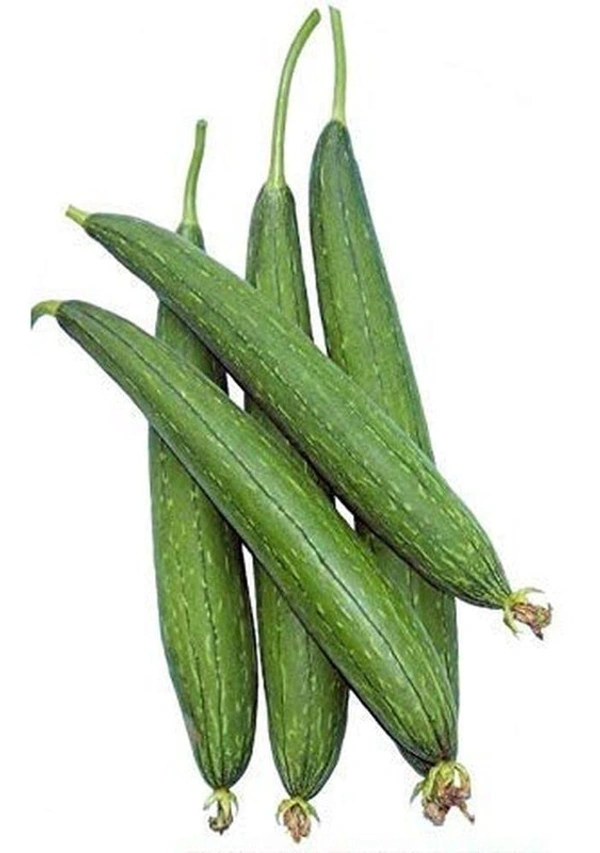 Sponge Gourd (Torai) - 1 kg