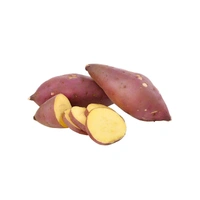 Sweet Potato (Shakarkandi) - 1 - 1.05 kg