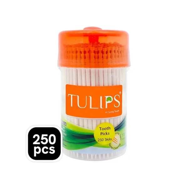 Tulips Wooden Toothpick - 1 pack (250 pieces)