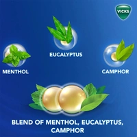 Vicks VapoRub Steam Pods - 4 Pieces - 4 Pieces